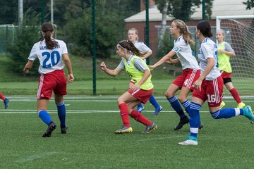 Bild 44 - C-Juniorinnen HSV - Walddoerfer : Ergebnis: 9:1